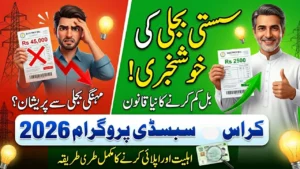 Cross Subsidy Program Electricity